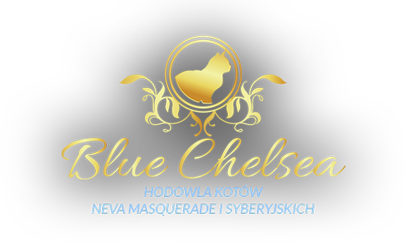 blue-chelsea.pl